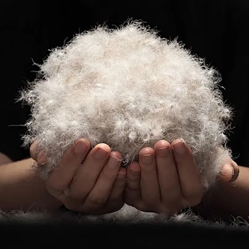 90%-os szürke kacsatoll