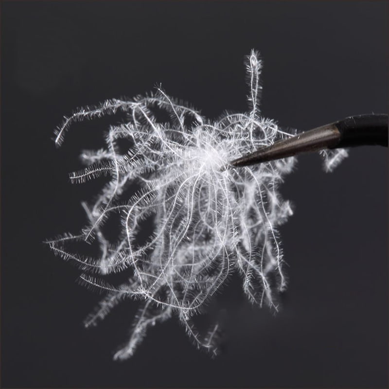 80% tiszta fehér kacsatoll