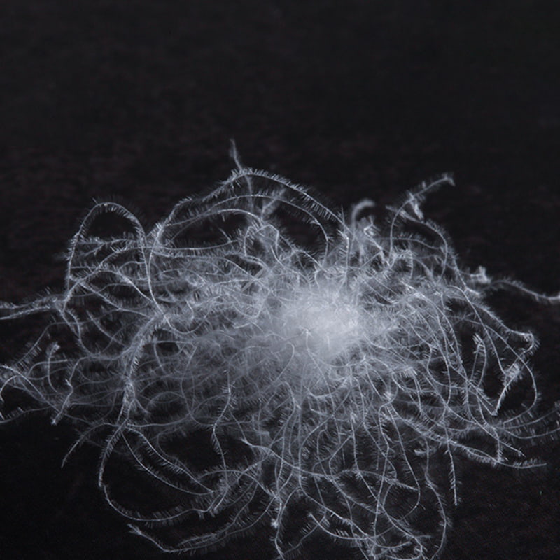 80% fehér libapehely 80% fehér libapehely