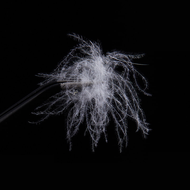 50%-os tiszta fehér kacsatoll